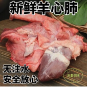 新鲜羊心肺羊杂羊下水羊心羊肺 10kg